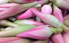 Kegunaan bunga kantan yang paling popular ialah sebagai perasa di dalam penyediaan kuah laksa asam, masak asam dan sebagai ulam nasi kerabu. Cara Tanam Bibit Bunga Kecombrang Mudah Dan Praktis Mediatani Mediatani