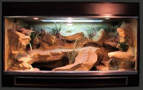 Building my panther chameleon a huge custom cage! Leopard Gecko Terrarium Decorations Leopard Gecko Care