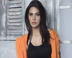 Porn case: SC grants protection from arrest to Sherlyn Chopra