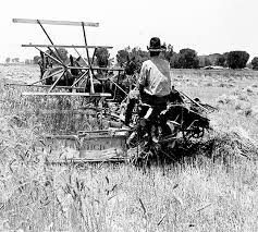 Mccormick's Reaper Revolutionized Farming - Farm And Dairy