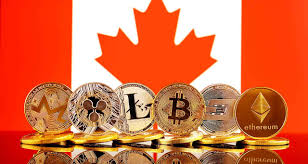 Best long term crypto investments. A List Of Canadian Exchanges And Places To Buy Crypto Bitcoinca