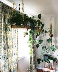 Clever Ways To Hang Your Plants Clever Bloom Vertical Garden Design Hanging Planters Indoor Hanging Plants