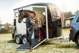 This residential community was built in year (n/a) and currently offering (13) single family homes for sale in equus, with price ranges from $1,149,000 to. Horse Floats Portax Range Horse Floats Trailers For Sale Boeckmann Nz
