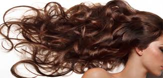A hair salon is a place where one goes to get their hair done so that it can look beautiful and attractive. Salon Venus Maui