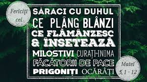 Paradoxal, dar există dureri binecuvântate. Care Fericire Din Predica De Pe Munte VÄƒ Place Mai Mult Basilica Ro
