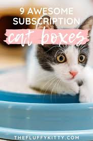 Monthly dog subscription box rate at $24.99. 9 Best Cat Subscription Boxes To Treat Your Kitty Fluffy Kitty