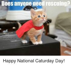 The best memes from instagram, facebook, vine, and twitter happy caturday! Does Anyone Need Rescuing Captions Ilove Funny Catsme Happy National Caturday Day Caturday Meme On Me Me