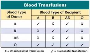 Abundant Blood Type Chart Donor And Recipient Blood Type