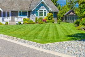 Do you want to make your simple lawn into an attractive one? How To Stripe A Lawn It Looks Good And Is Good For Your Grass Hgtv