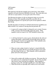 Notably the presence of a more rigid cell wall and the modification to photosynthesize which requires chloroplast. Cell Scenarios10 Red Blood Cell Organelle