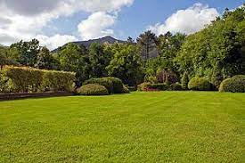 Dann hast du eine wiese und musst die nur einmal pro jahr oder so niedersensen. Schoner Garten Rasen Pflegen Dungen Mahen
