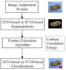 The Overall Schematic Diagram Of The Proposed Potatoes