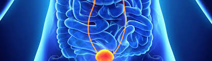 801 likes · 6 talking about this · 218 were here. Urologie