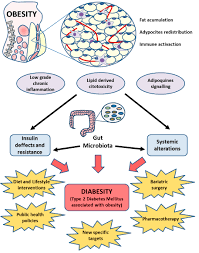 Nutrients Free Full Text Type 2 Diabetes Mellitus Associated With Obesity Diabesity The Central Role Of Gut Microbiota And Its Translational Applications Html