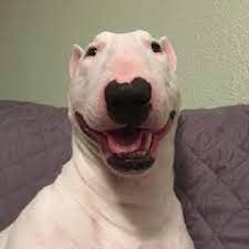 The walter group is one of austria's most successful private companies. Stream Walter Music Listen To Songs Albums Playlists For Free On Soundcloud