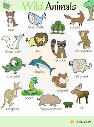 Wikipedia has a more complete and scholarly list of names here. Animal Names Types Of Animals With List Pictures 7esl