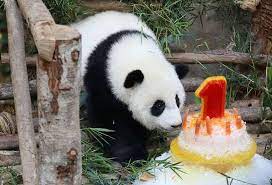 Zoo Negara Tickets Price 2021 Promotions Online Discounts