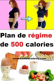 Plan De Regime De 500 Calories 100 Calories 500 Calories Calorie