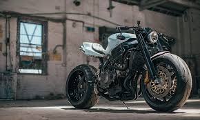 Wenly Andrews Angry Bird Motorcycle Cool Material Cafe Racer Honda Cbr Motorcycle