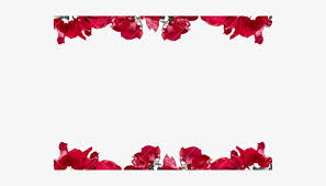 Search and download 110000+ free hd flower border png images with transparent background online from lovepik. Flowers Borders Png Floral Border Transparent Background Free Transparent Png Download Pngkey