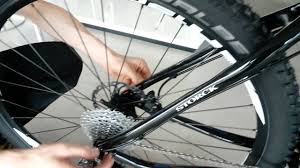 Storck Mtb Hinterrad Einbau Youtube