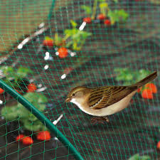Bird exclusion netting, nets for aviary purposes, and netting for retention pond bird deterrent uses are available. Anti Bird Netting Next Day Delivery Wire Fence
