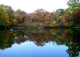 Caleb smith state park is situated northwest of hauppauge, close to blydenburgh park historic district. Friends Of Caleb Smith Preserve Home Facebook