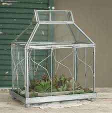 Él compró un cartón de leche en el supermercado ayer. Table Top Terrarium 460050