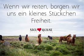 Wenn Wir Reiten Borgen Wir Uns Ein Kleines Stuckchen Freiheit Pferde Reiten Pferde Zitate Pferdespruche Zitate Fur Reiter