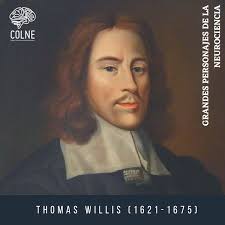 PersonajesNeurociencia ~ Y siguiendo nuestro recorrido histórico hoy  recordamos a Thomas Willis (1621-1675). Médico inglés muy influenciado por  los escritos del filósofo René Descartes y se interesaba en particular por  las implicaciones