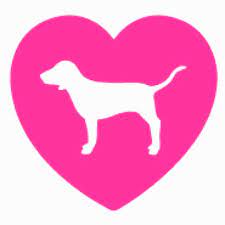 Vspink Victoria Secret Pink Dog Victoria Secret Wallpaper Vs Pink Wallpaper