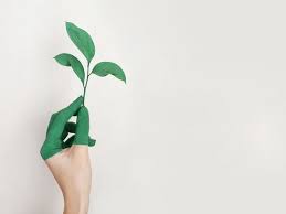 The un decade is intended to massively scale up the. World Environment Day 2021 Theme History And Significance