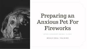 Paul gartenberg, provides animal care expertise at very reasonable prices. Firework Anxiety Latest News River Landings Animal Clinic In Bradenton Florida