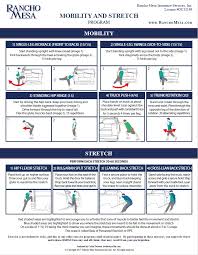 Image result for Stretching Program