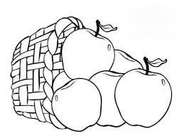 Contoh gambar mewarnai buah apel anak sekolah. 17 Gambar Sketsa Buah Buahan Beserta Penjelasan Lengkap
