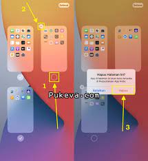 Cara Menghapus Home Screen di iPhone dan iPad | PUKEVA