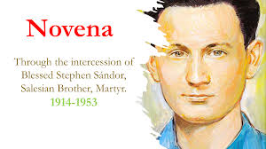 Through the intercession of Blessed Stephen Sándor, Salesian Brother,  Martyr.