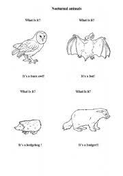 I add free items often. English Worksheets Nocturnal Animals