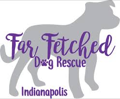 Our special pet adoption events usually pull in three to four times the number of adopters, so for us it's all hands on deck. Pets For Adoption At Far Fetched Dog Rescue In Indianapolis In Petfinder
