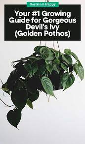 Pin On Gardening