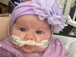 Fundraiser for Amber Wark by Sheila Richards : Help support Amelia's Fight