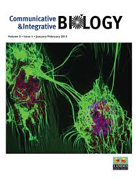 Full article: Hitching a ride