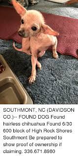Southmont Nc Davidson Co Found Dog Found Hairless Chihuahua Found 630 600 Block Of High Rock Shores Southmont Be Prepared To Show Proof Of Ownership If Claiming 3366718980 Chihuahua Meme On Me Me