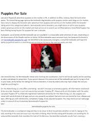 We are established breeders of goldendoodles and bernedoodles with many references and many second and third time customers. Calameo Bernedoodle Puppies For Sale