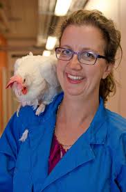 Därför är ägg nyttiga