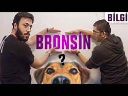 Bronsin Asisi Ne Olaki Yaptirmazsak Bordetella Oldurur Mu Surundurur Mu Dobida Bilgi Youtube