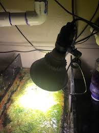The ge grow lights were carefully. Home Depot Light For Chaeto Fuge Reef2reef Saltwater And Reef Aquarium Forum