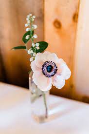 Highball Bud Vase Accent White Anemone Flower Bud Vases Flowers Anemone Flower