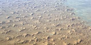 Ce n'est ni le chantier voisin, ni le sable ocre des courts de tennis qui a laissé ces traces, mais le sable du sahara. Pourquoi Y A T Il Du Sable Du Sahara Sur Nos Voitures