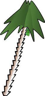 نخلة كرتوني صورة pine tree silhouette silhouette clip art tree silhouette